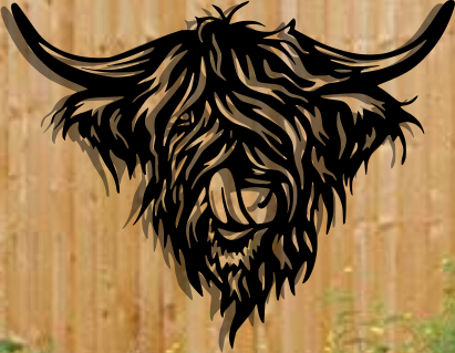 Highland Cows
